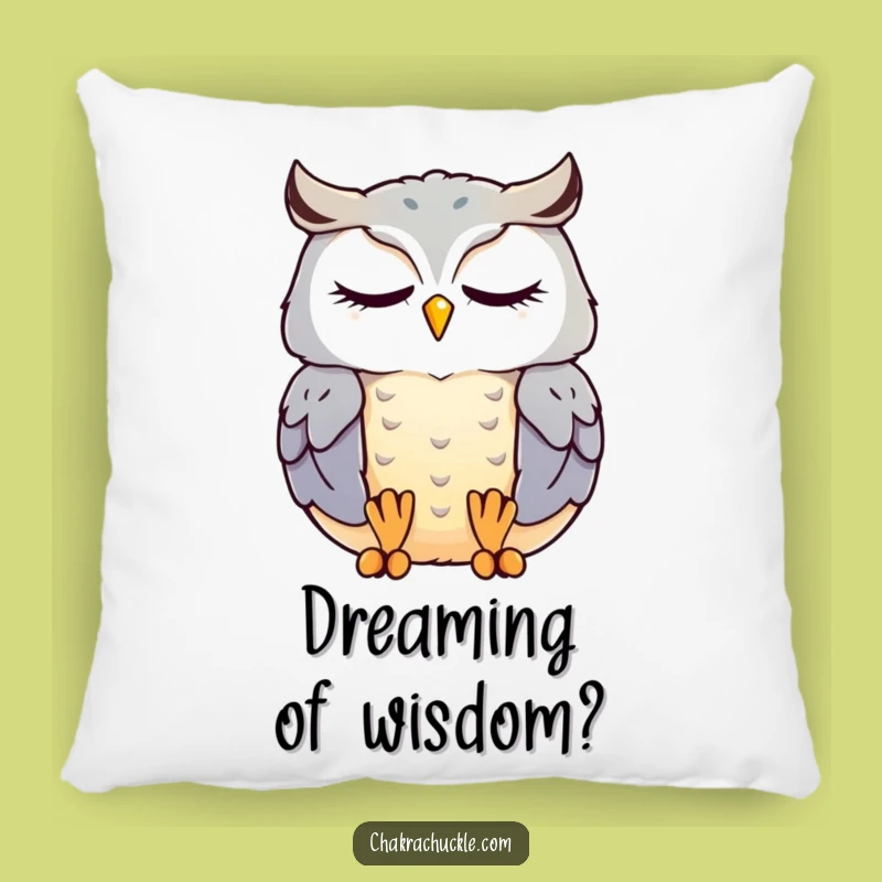 Funny Meditating Owl Pillow: Kawaii Bird Zen Cushion, Cozy Gift